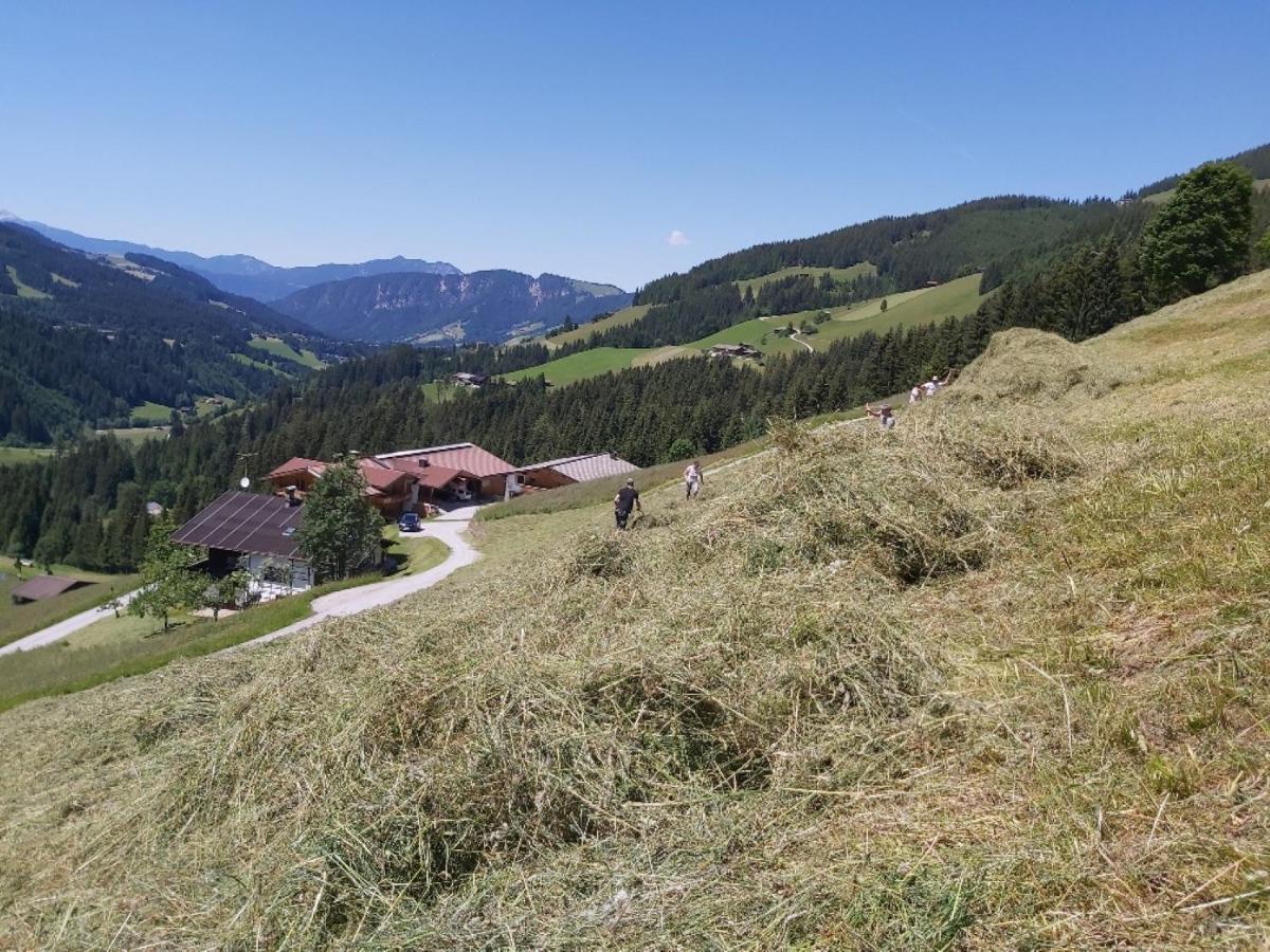 Praedastenhof アウフファッハ エクステリア 写真